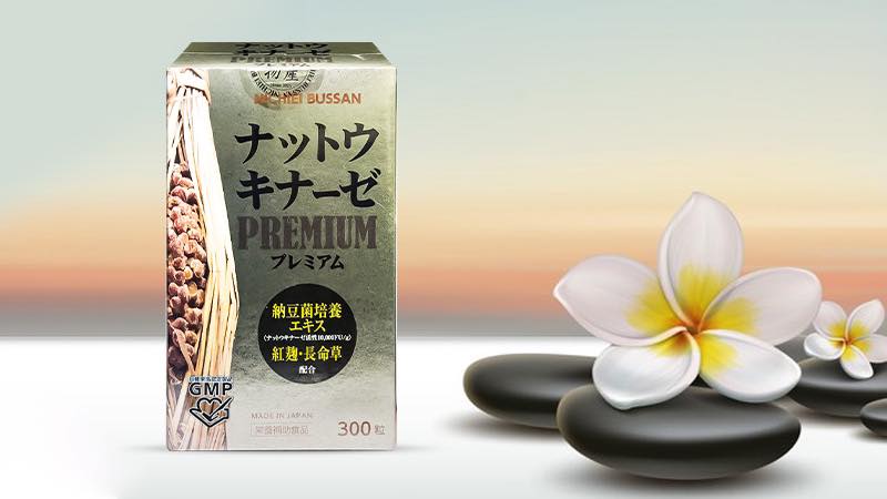 Viên uống hỗ trợ tai biến Nichiei Bussan Nattokinase Premium