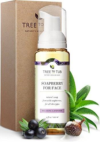 Sữa rửa ráy Tree To Tub Soapberry For Face