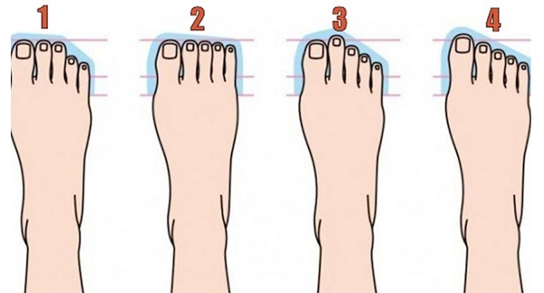đặc điểm hình dạng bàn chân
