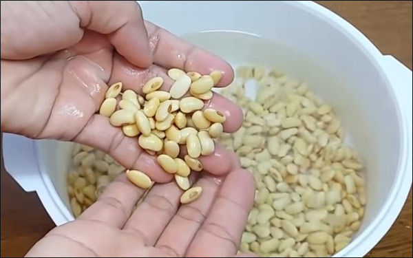 Ngậm hạt đậu nành với nước trước khi làm sữa