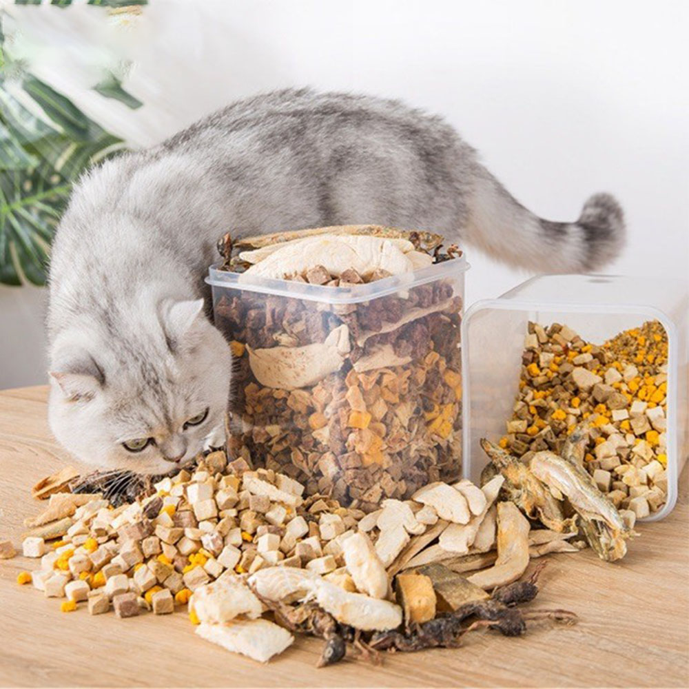 Mèo con thích ăn hạt khô viên nhỏ, dễ tiêu hóa