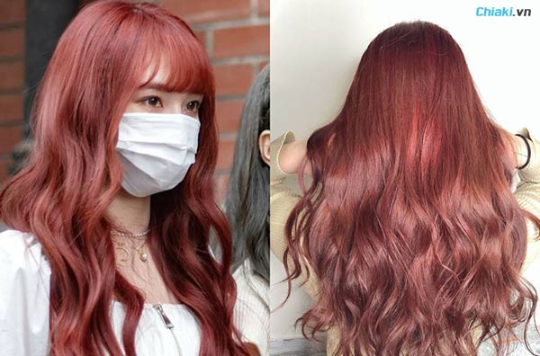 tóc đỏ lòm sinh vật biển ánh hồng