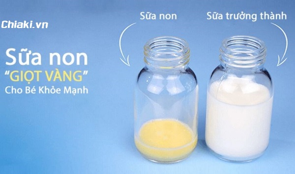 Có nên bổ sung cập nhật sữa non cho tới trẻ con sơ sinh không?