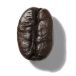 Mùi hương cà phê