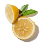 Mùi hương cam chanh (citrus)