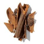 Mùi hương cay ấm (Warm Spicy)