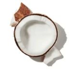 Mùi hương dừa (Coconut)