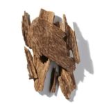 Mùi hương gỗ (Woody)