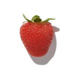 Nhóm hương trái cây (Fruit)