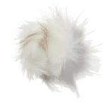 Mùi hương xạ hương (Musky)