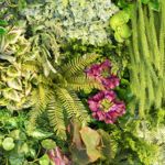 Nhóm hương cây cỏ tự nhiên (Aromatic Green)