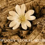 Nhóm hương gỗ thơm, hoa cỏ, xạ hương (Woody Floral Musk)