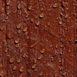 Nhóm hương gỗ thơm mát (Woody Aquatic)