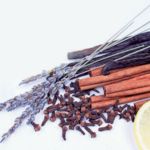 Nhóm hương gỗ thơm, thảo mộc (Woody Aromatic)