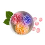 Nhóm hương hoa cỏ Aldehyde