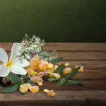 Nhóm hương hoa cỏ Chypre