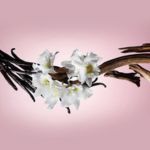 Nhóm hương hoa cỏ phương Đông (Oriental Floral)