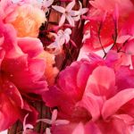 Nhóm hương hoa cỏ, trái cây, gỗ (Floral Fruity Woody)