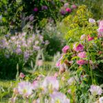 Nhóm hương hoa cỏ tự nhiên (Floral Green)