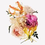 Nhóm hương hoa, phấn thơm (Floral)