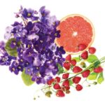 Nhóm hương hoa quả trái cây (Floral Fruity)