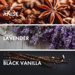 Nhóm hương thảo mộc (Aromatic Fougere)