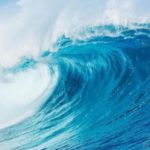 Nhóm hương thơm biển (Aromatic Aquatic)