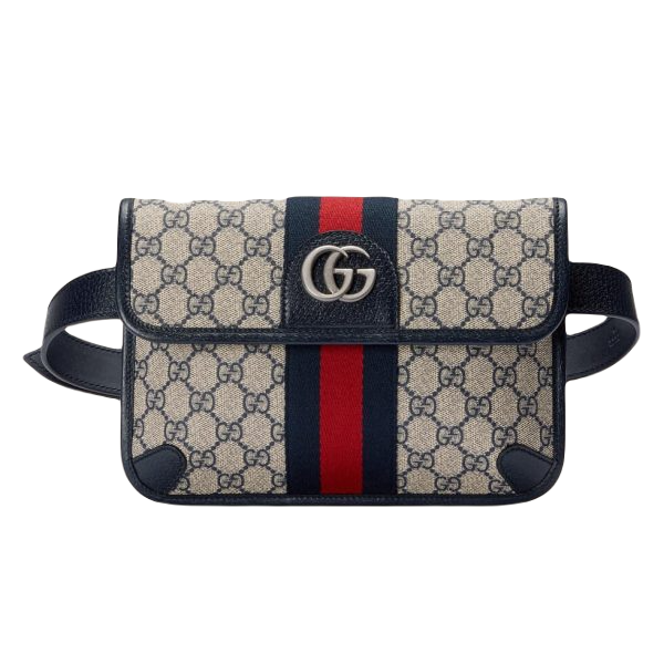 Túi Bumbag Gucci 020427 Ophidia Belt Bag