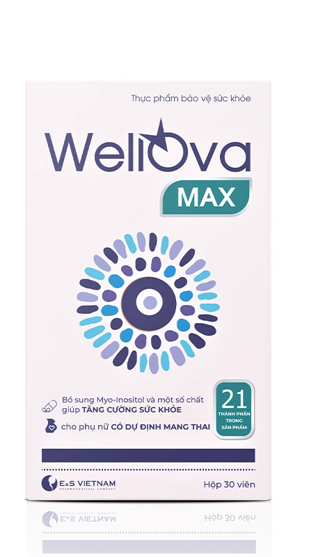 Wellova Max có thành phần chính là gì và công dụng của các thành phần đó là gì?
