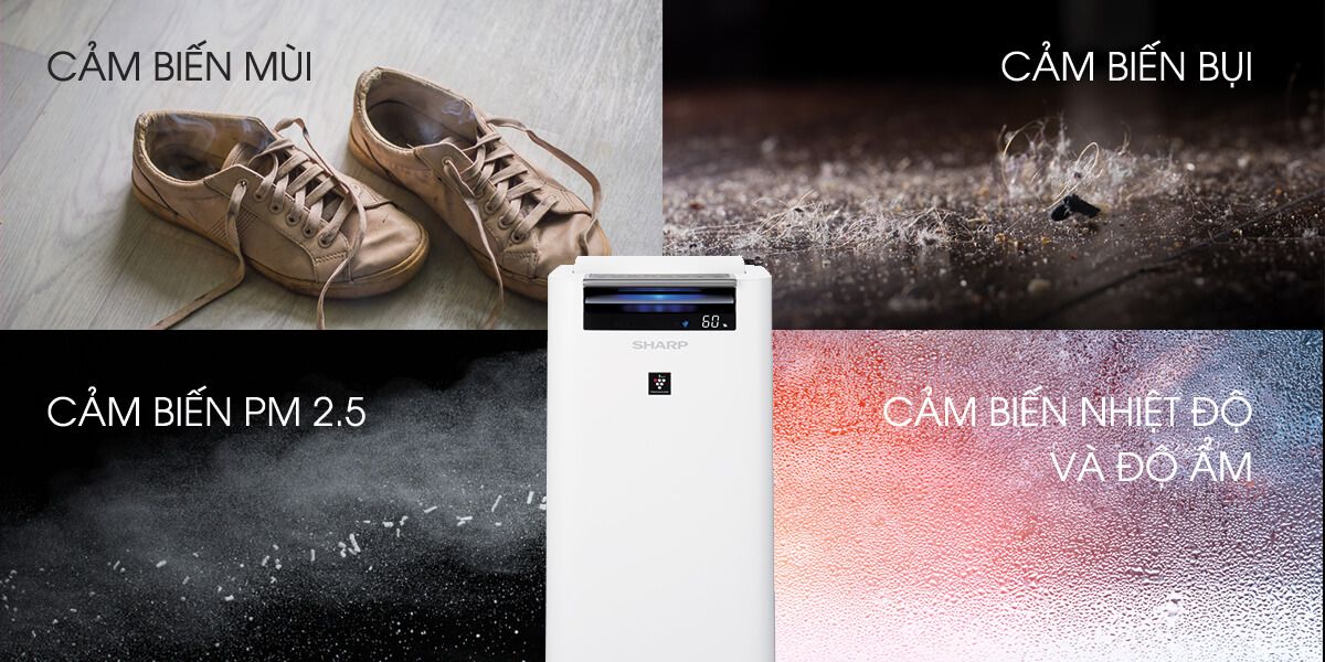 image product content 2