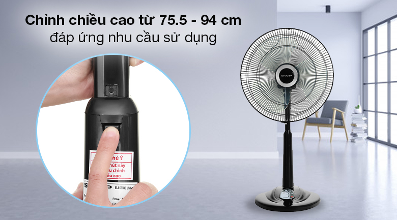 image product content 5