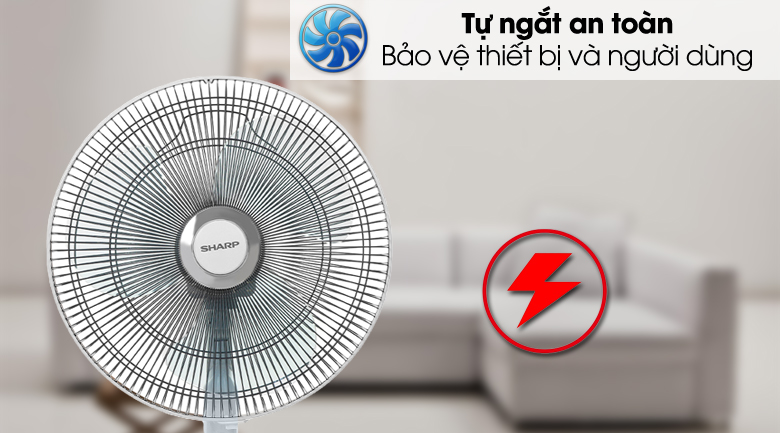image product content 8