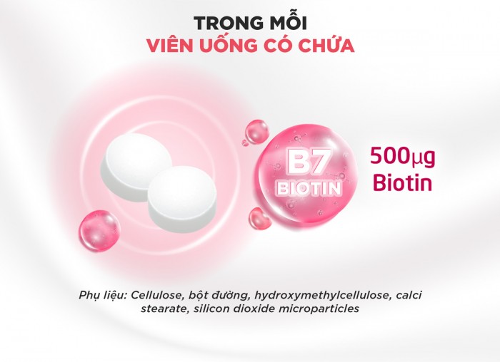 Viên Uống DHC Biotin Gói 30 Viên 30 Ngày hỗ trợ Ngăn Rụng Tóc blobid1697787797782 776be449fb7de7bd520845355558770f